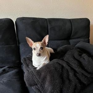 Meet your Posher, Madonna